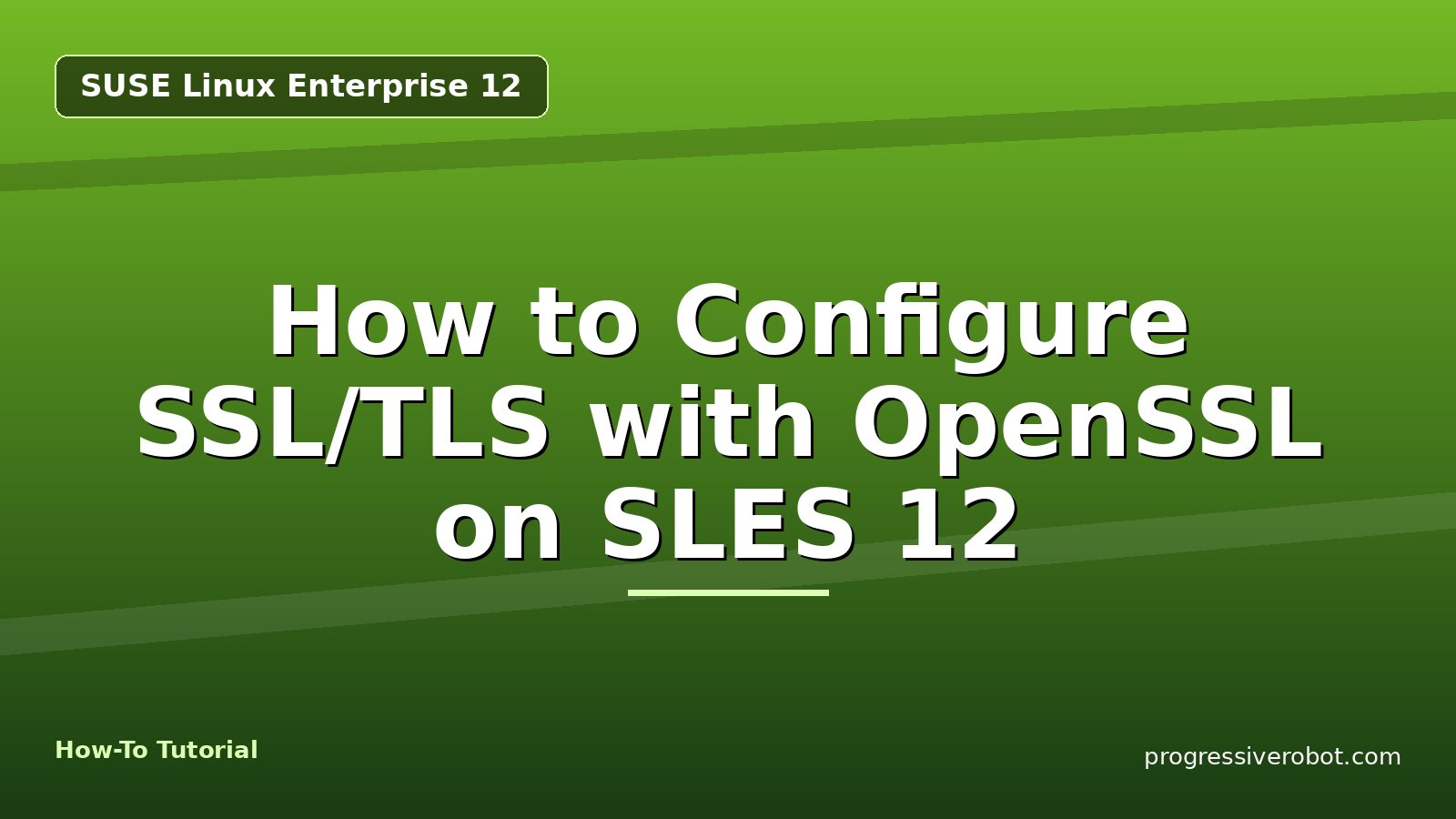How to Configure SSL/TLS with OpenSSL on SLES 12 — step-by-step SUSE Linux Enterprise 12 tutorial on Progressive Robot