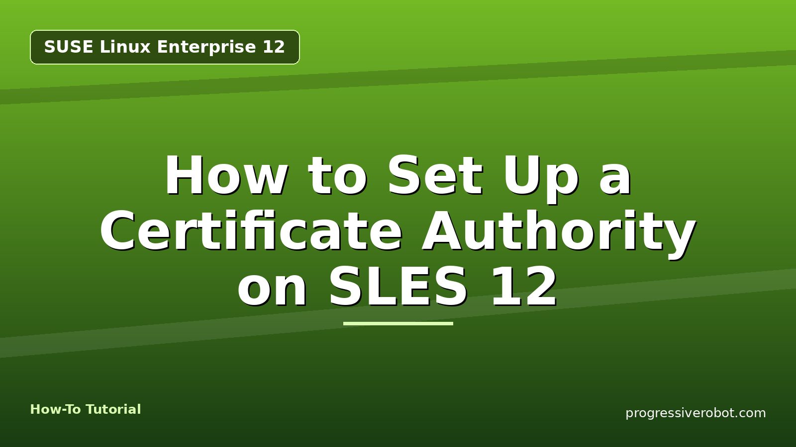 How to Set Up a Certificate Authority on SLES 12 — step-by-step SUSE Linux Enterprise 12 tutorial on Progressive Robot