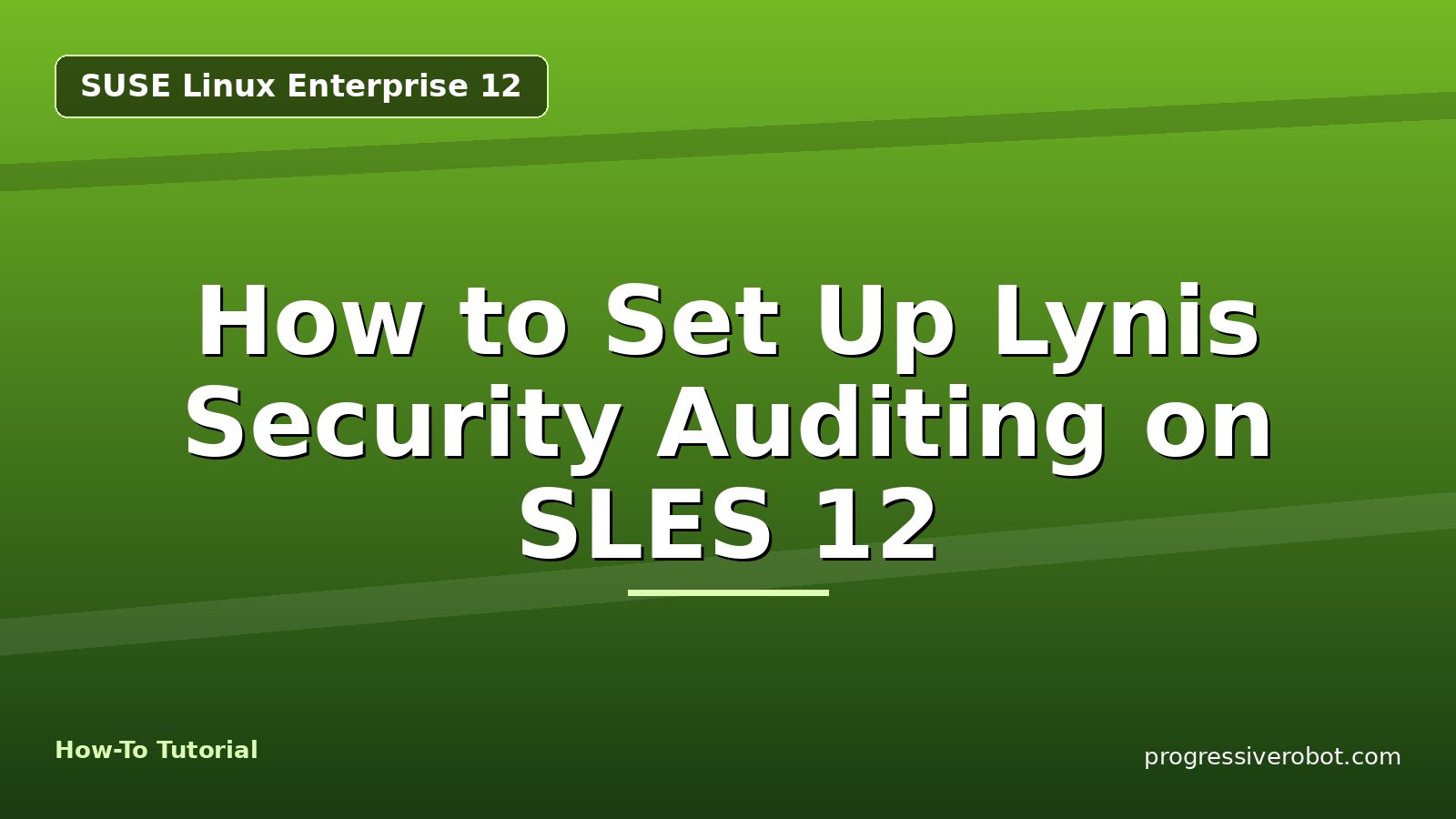 How to Set Up Lynis Security Auditing on SLES 12 — step-by-step SUSE Linux Enterprise 12 tutorial on Progressive Robot