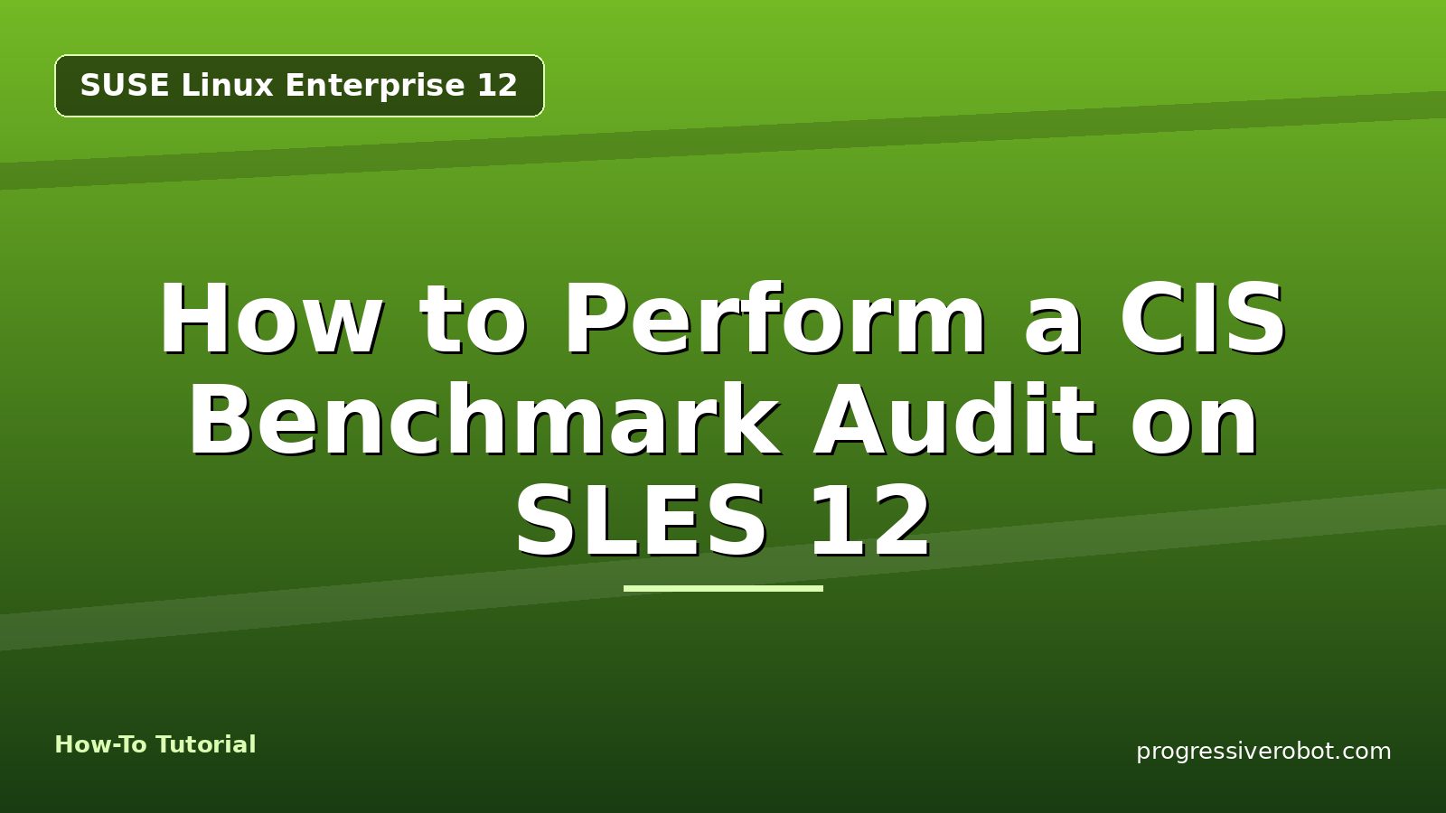 How to Perform a CIS Benchmark Audit on SLES 12 — step-by-step SUSE Linux Enterprise 12 tutorial on Progressive Robot