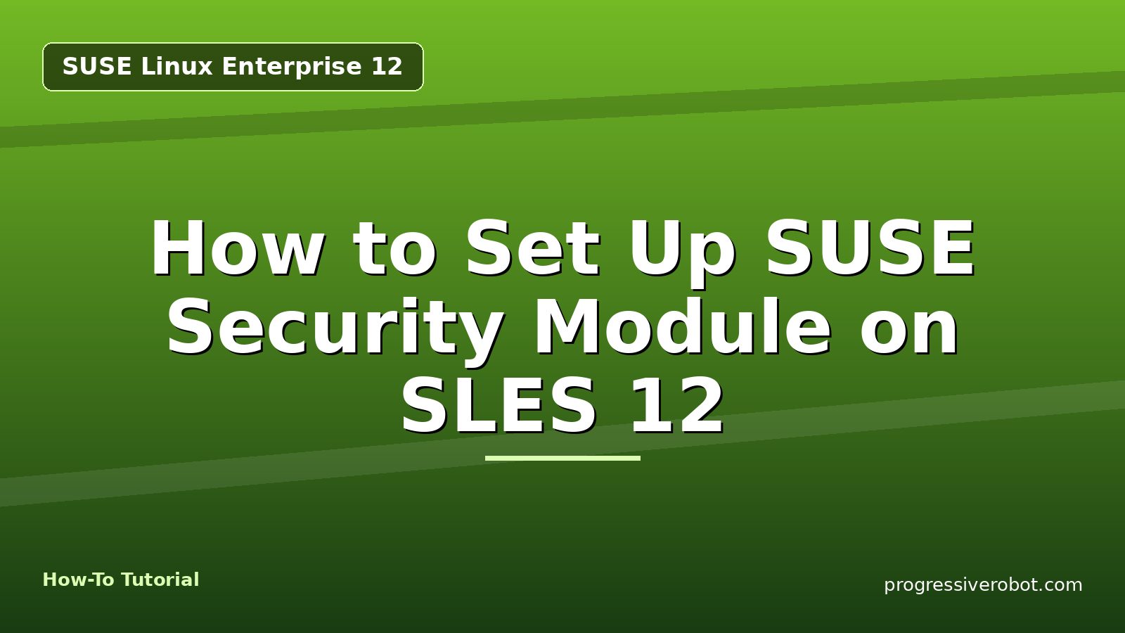 How to Set Up SUSE Security Module on SLES 12 — step-by-step SUSE Linux Enterprise 12 tutorial on Progressive Robot