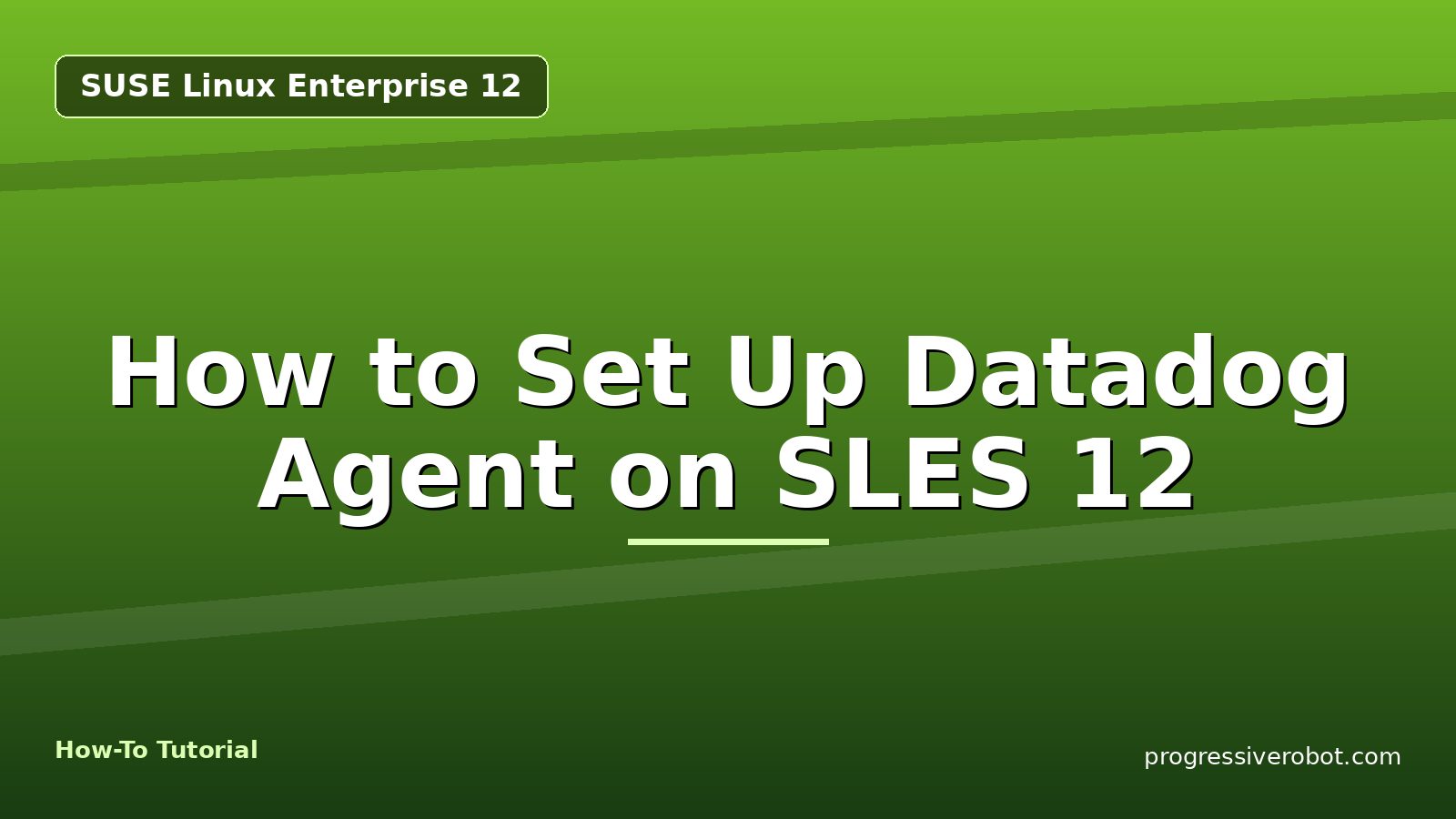How to Set Up Datadog Agent on SLES 12 — step-by-step SUSE Linux Enterprise 12 tutorial on Progressive Robot
