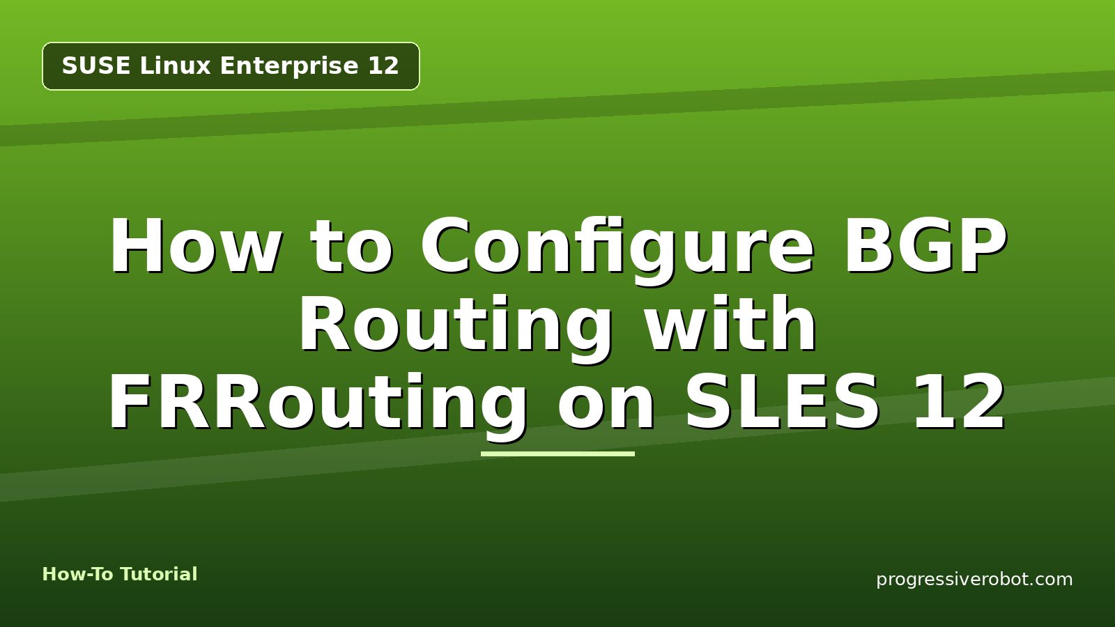 How to Configure BGP Routing with FRRouting on SLES 12
