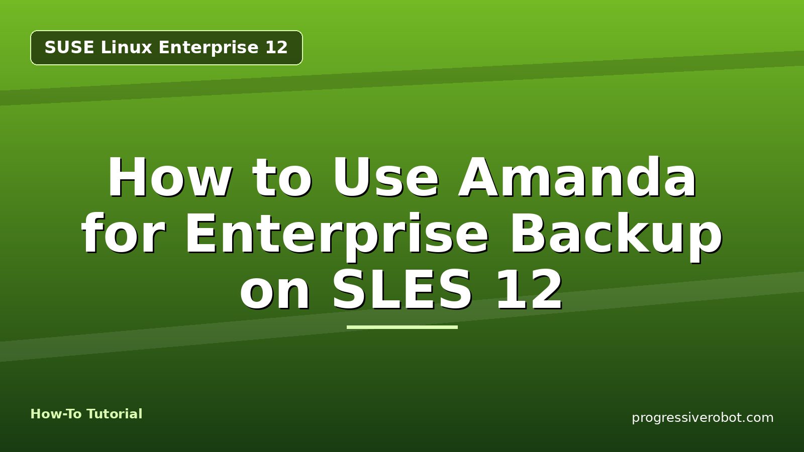 How to Use Amanda for Enterprise Backup on SLES 12 — step-by-step SUSE Linux Enterprise 12 tutorial on Progressive Robot