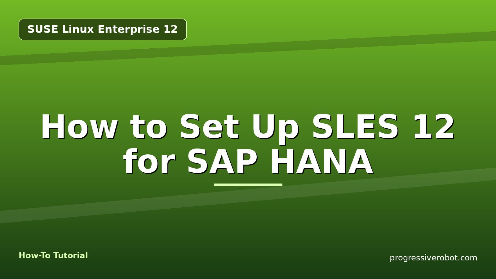 How to Set Up SLES 12 for SAP HANA
