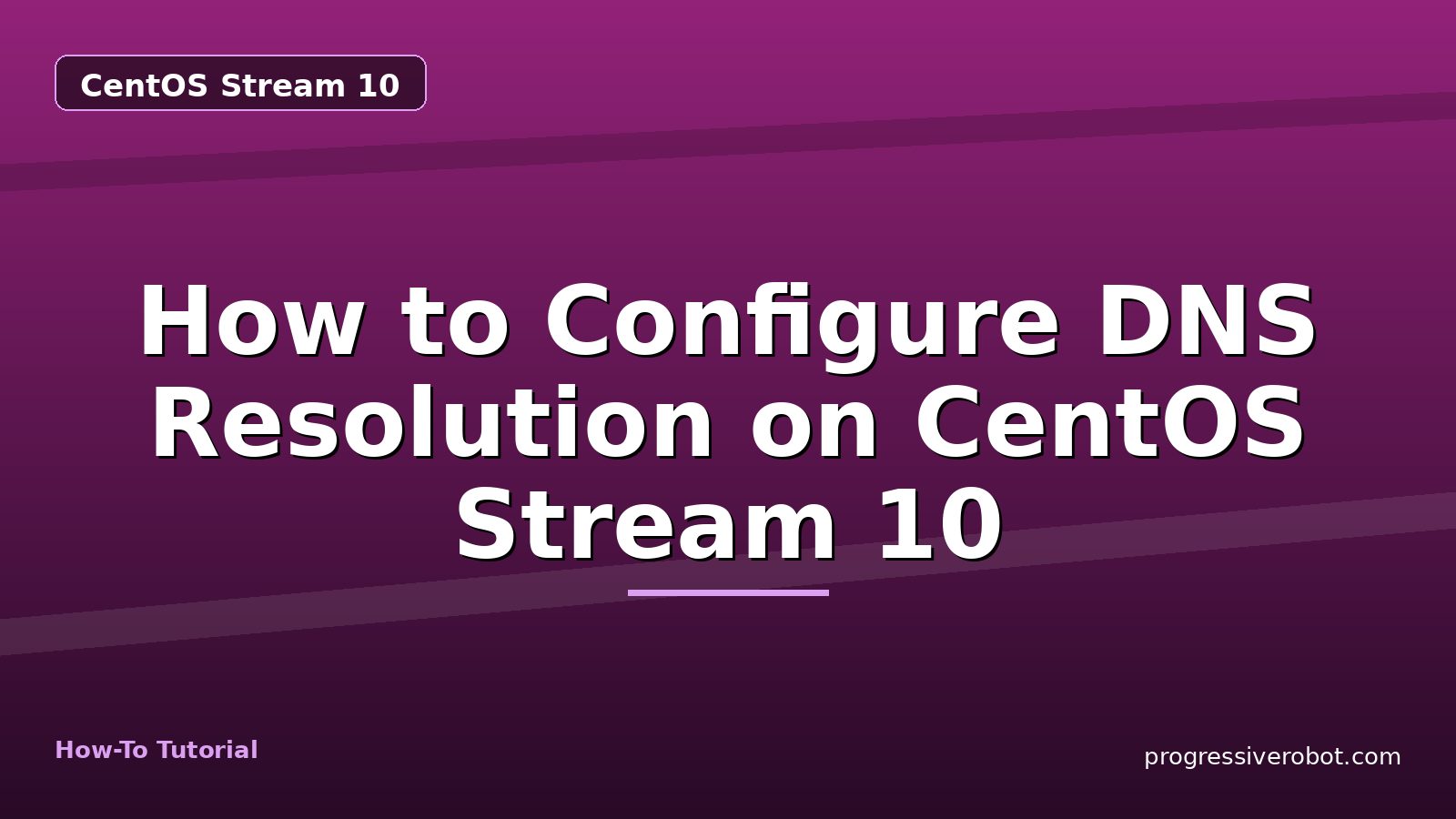 How to Configure DNS Resolution on CentOS Stream 10 — step-by-step CentOS Stream 10 tutorial on Progressive Robot