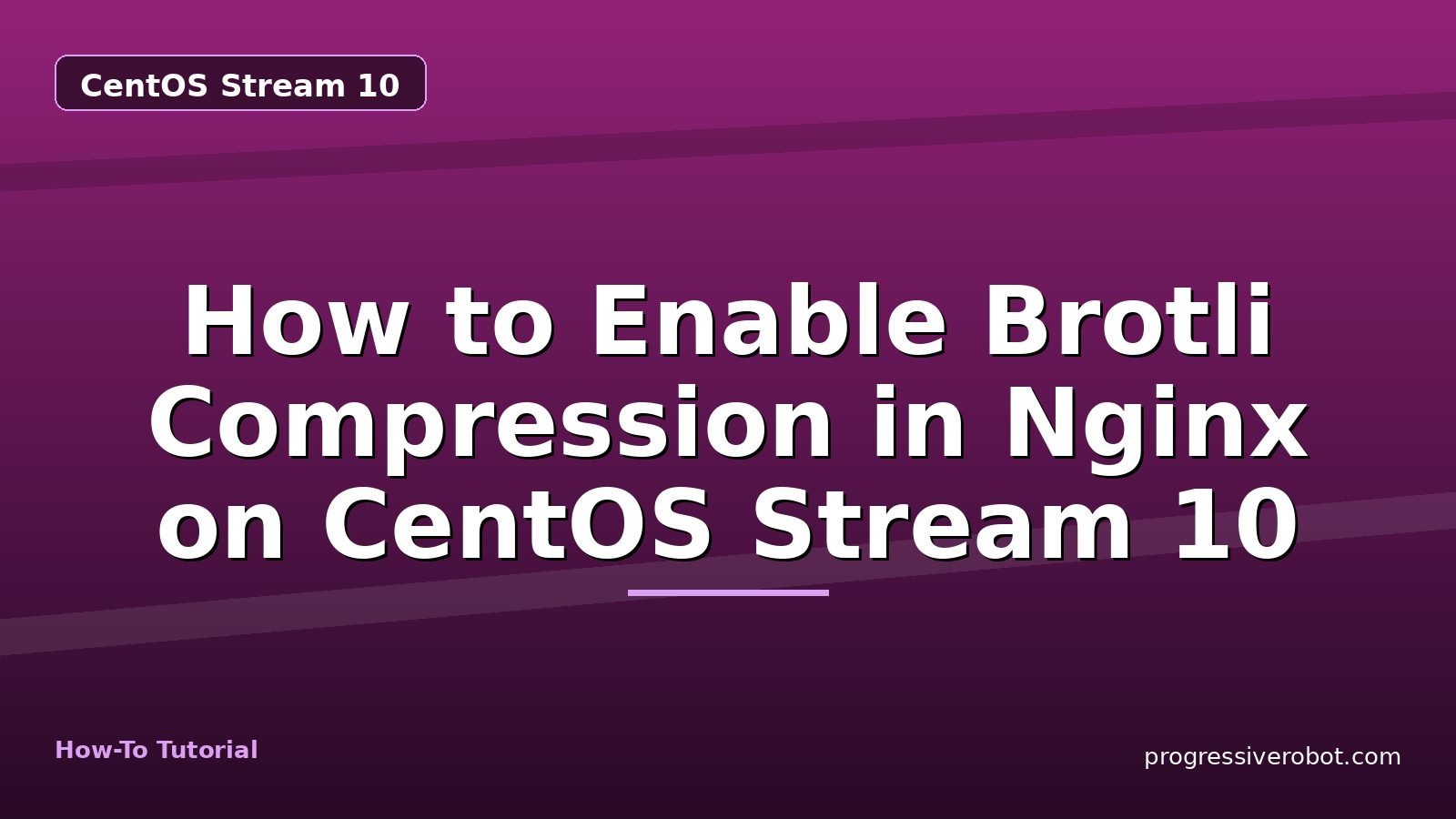 How to Enable Brotli Compression in Nginx on CentOS Stream 10 — step-by-step CentOS Stream 10 tutorial on Progressive Robot
