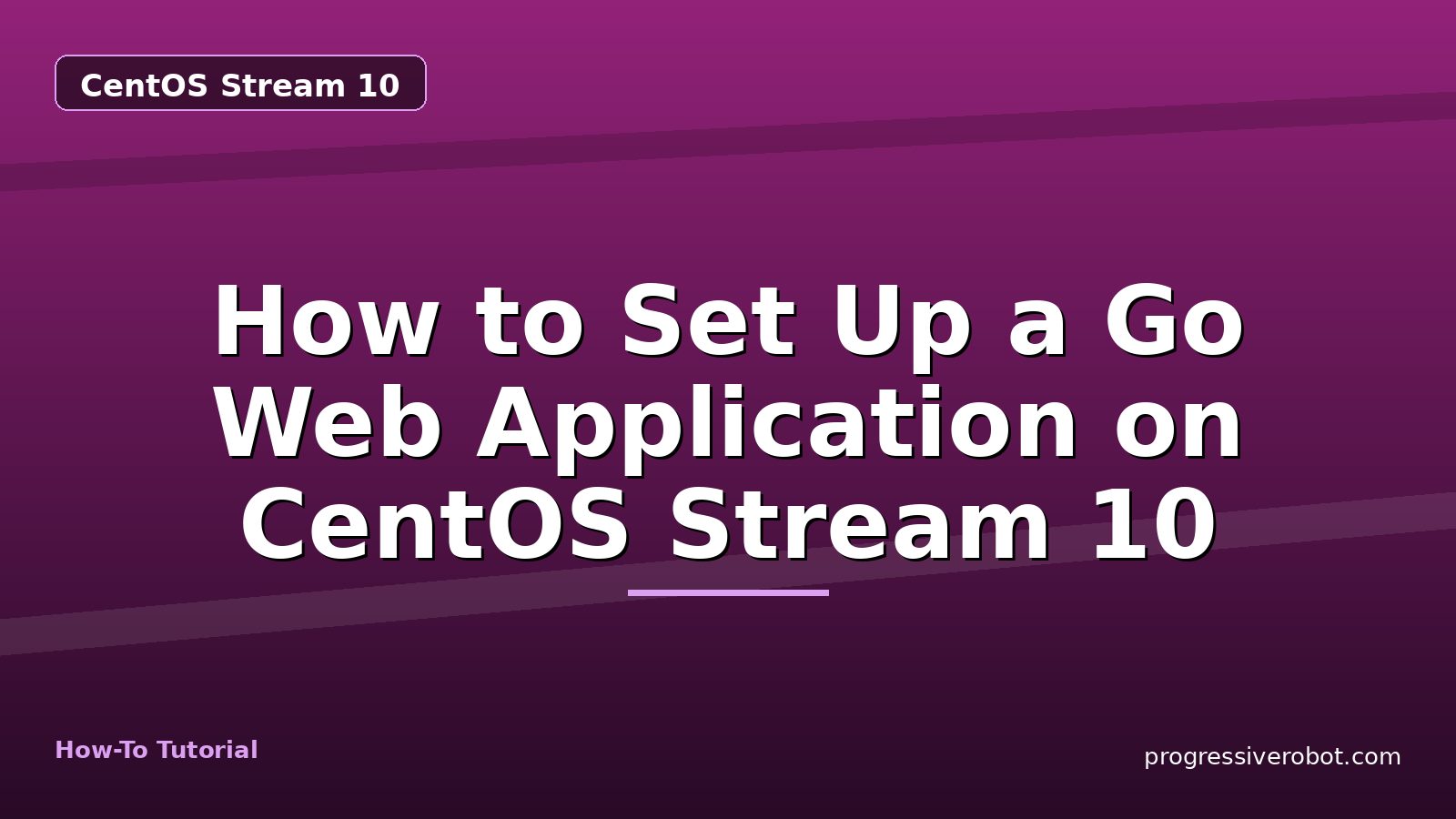 How to Set Up a Go Web Application on CentOS Stream 10 — step-by-step CentOS Stream 10 tutorial on Progressive Robot