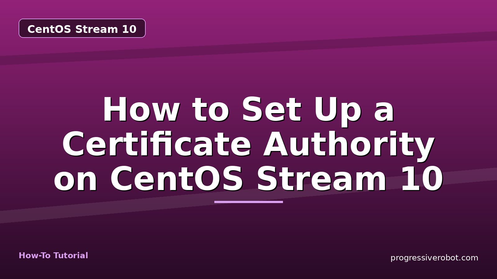 How to Set Up a Certificate Authority on CentOS Stream 10 — step-by-step CentOS Stream 10 tutorial on Progressive Robot