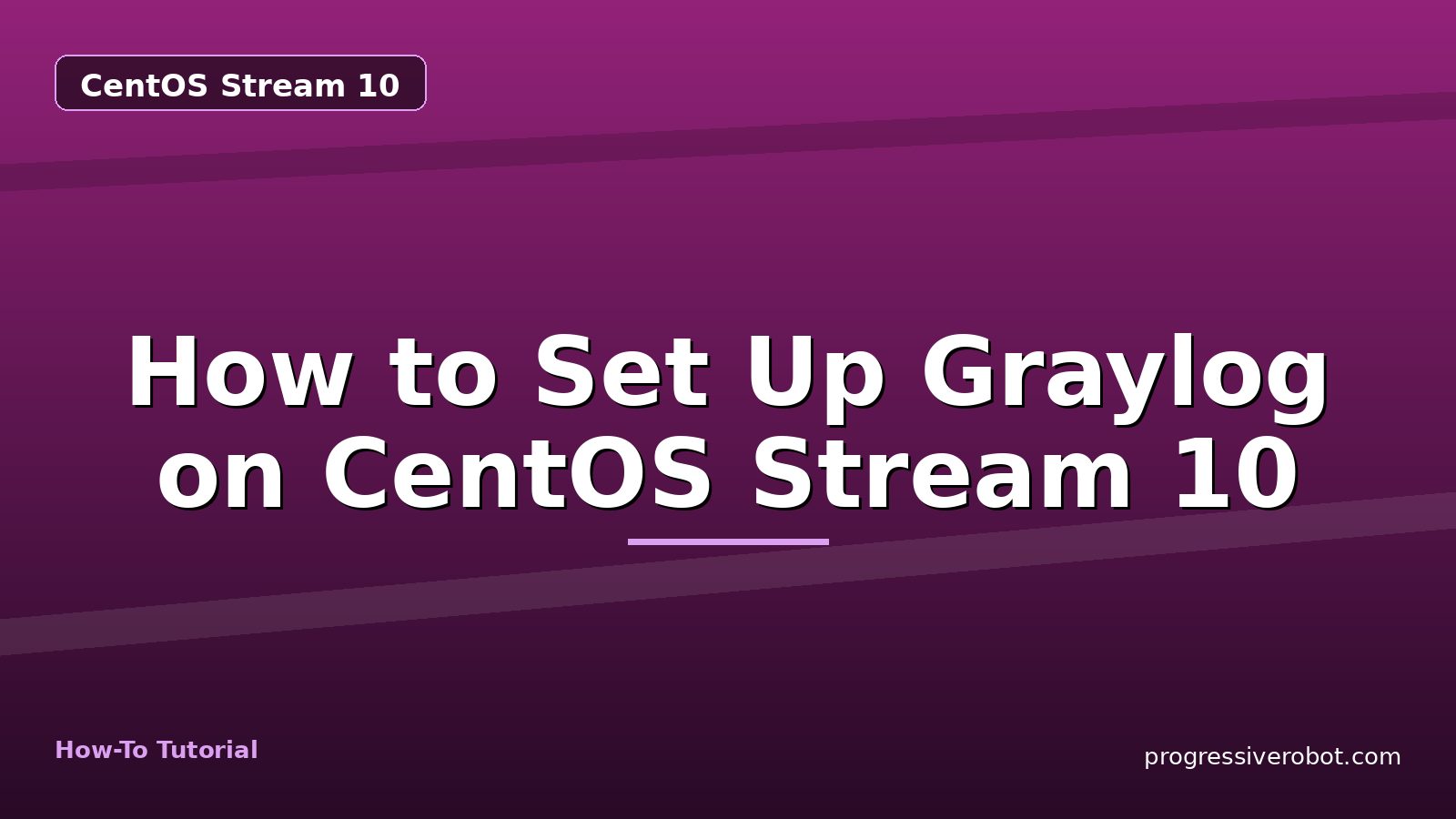How to Set Up Graylog on CentOS Stream 10 — step-by-step CentOS Stream 10 tutorial on Progressive Robot