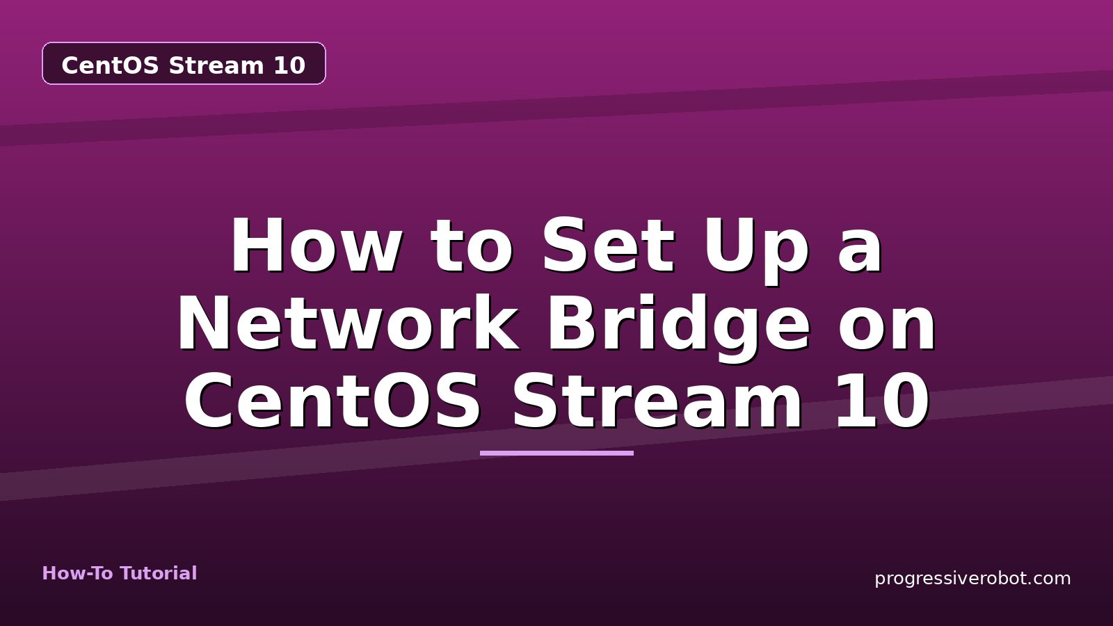 How to Set Up a Network Bridge on CentOS Stream 10 — step-by-step CentOS Stream 10 tutorial on Progressive Robot