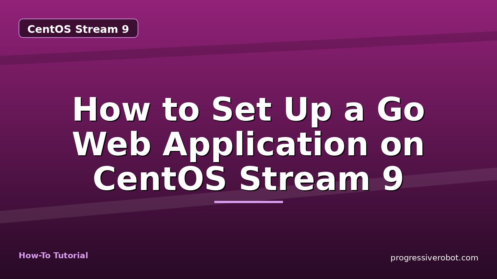 How to Set Up a Go Web Application on CentOS Stream 9 — step-by-step CentOS Stream 9 tutorial on Progressive Robot