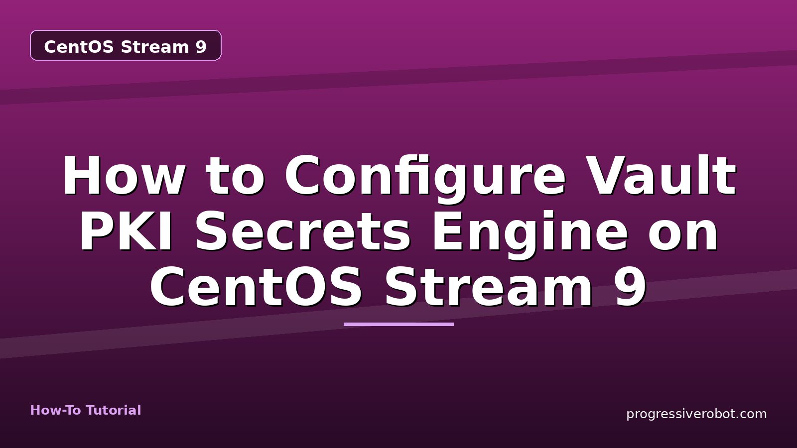 How to Configure Vault PKI Secrets Engine on CentOS Stream 9 — step-by-step CentOS Stream 9 tutorial on Progressive Robot