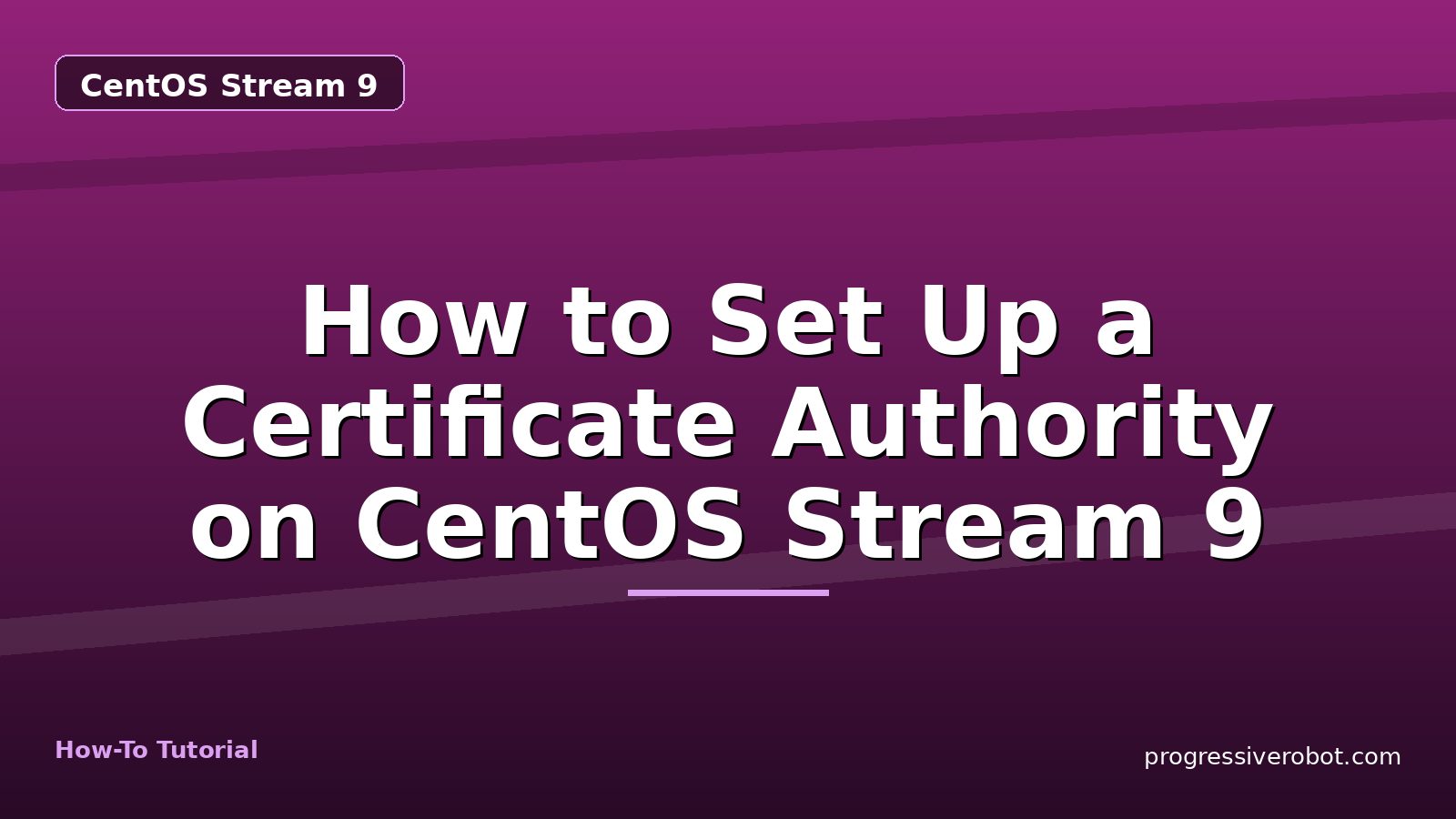 How to Set Up a Certificate Authority on CentOS Stream 9 — step-by-step CentOS Stream 9 tutorial on Progressive Robot