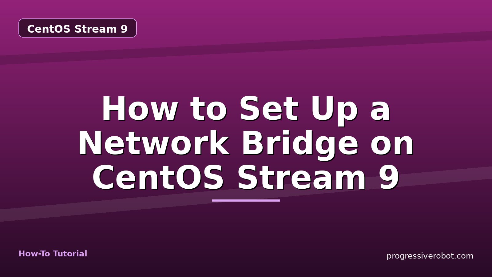 How to Set Up a Network Bridge on CentOS Stream 9 — step-by-step CentOS Stream 9 tutorial on Progressive Robot