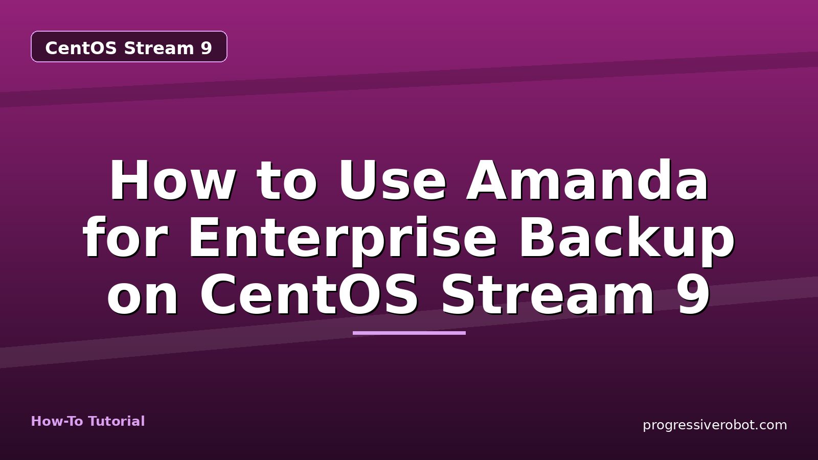 How to Use Amanda for Enterprise Backup on CentOS Stream 9 — step-by-step CentOS Stream 9 tutorial on Progressive Robot