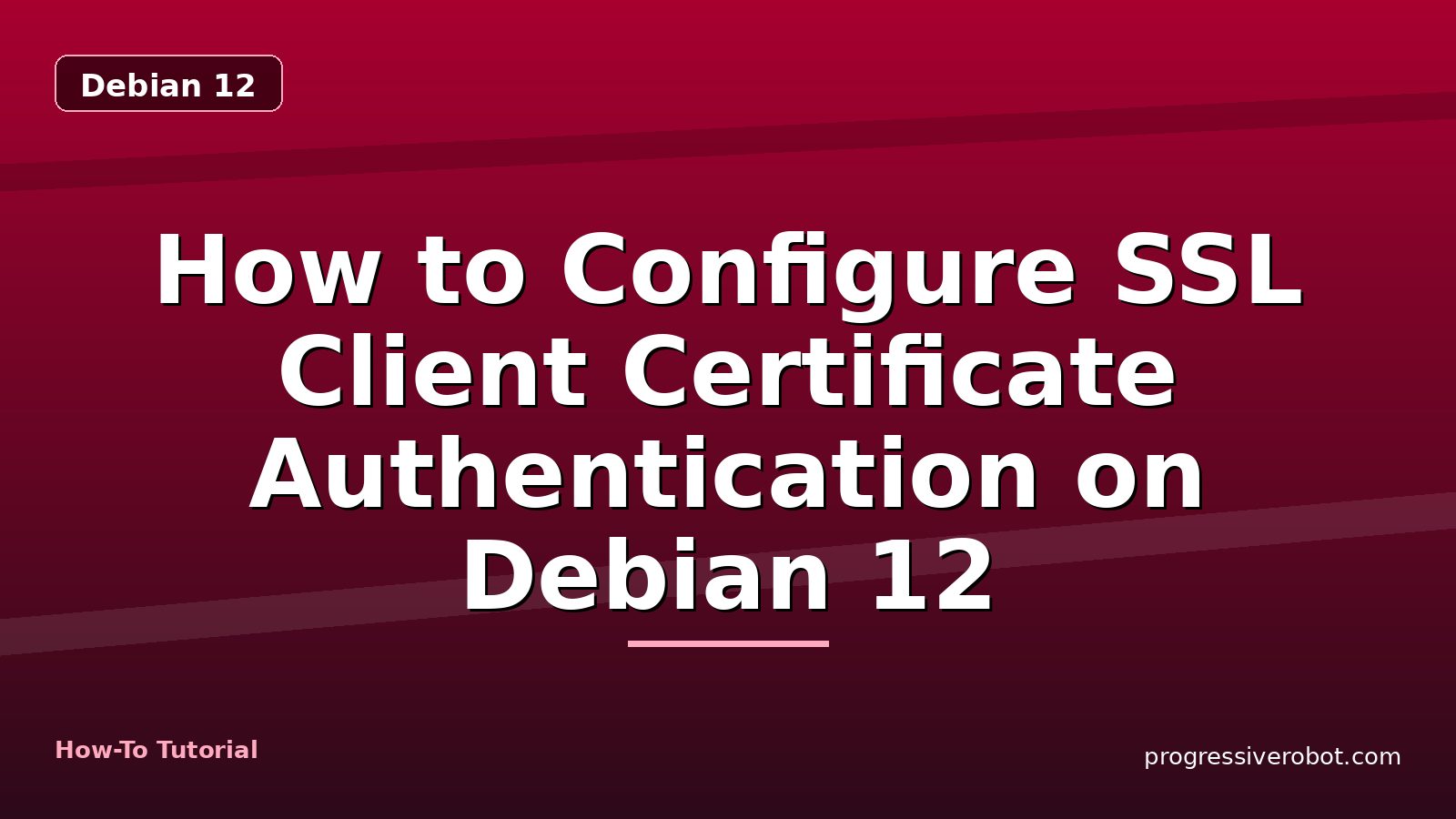 How to Configure SSL Client Certificate Authentication on Debian 12 — step-by-step Debian 12 tutorial on Progressive Robot