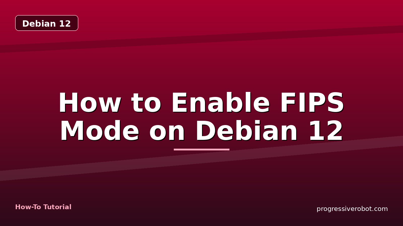 How to Enable FIPS Mode on Debian 12 — step-by-step Debian 12 tutorial on Progressive Robot