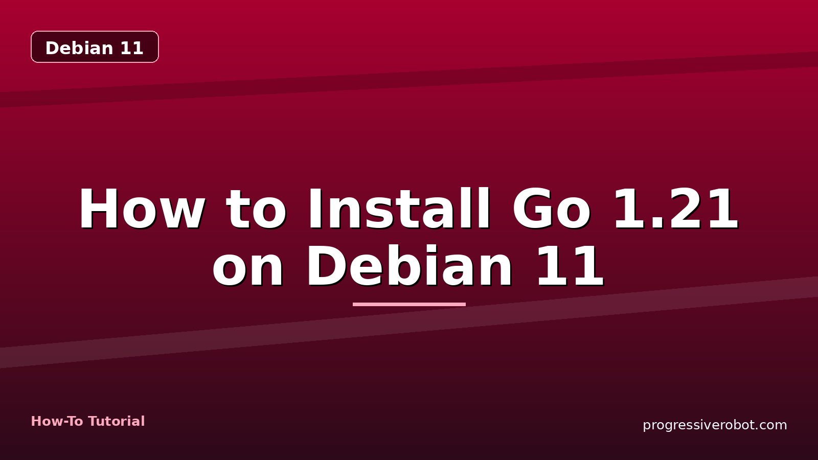 How to Install Go 1.21 on Debian 11 — step-by-step Debian 11 tutorial on Progressive Robot
