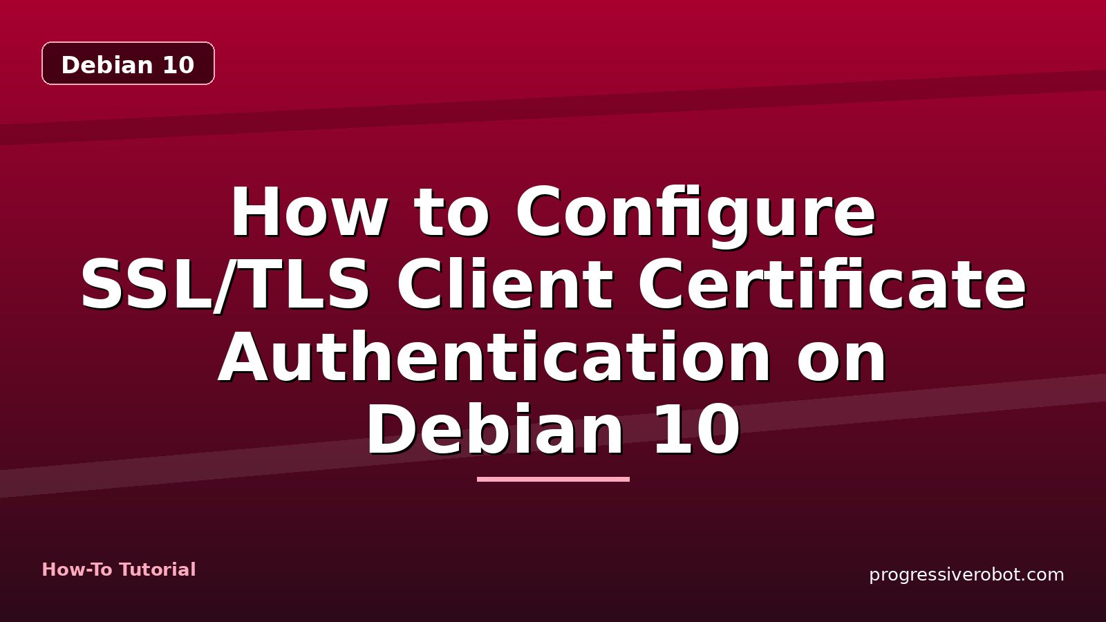How to Configure SSL/TLS Client Certificate Authentication on Debian 10 — step-by-step Debian 10 tutorial on Progressive Robot