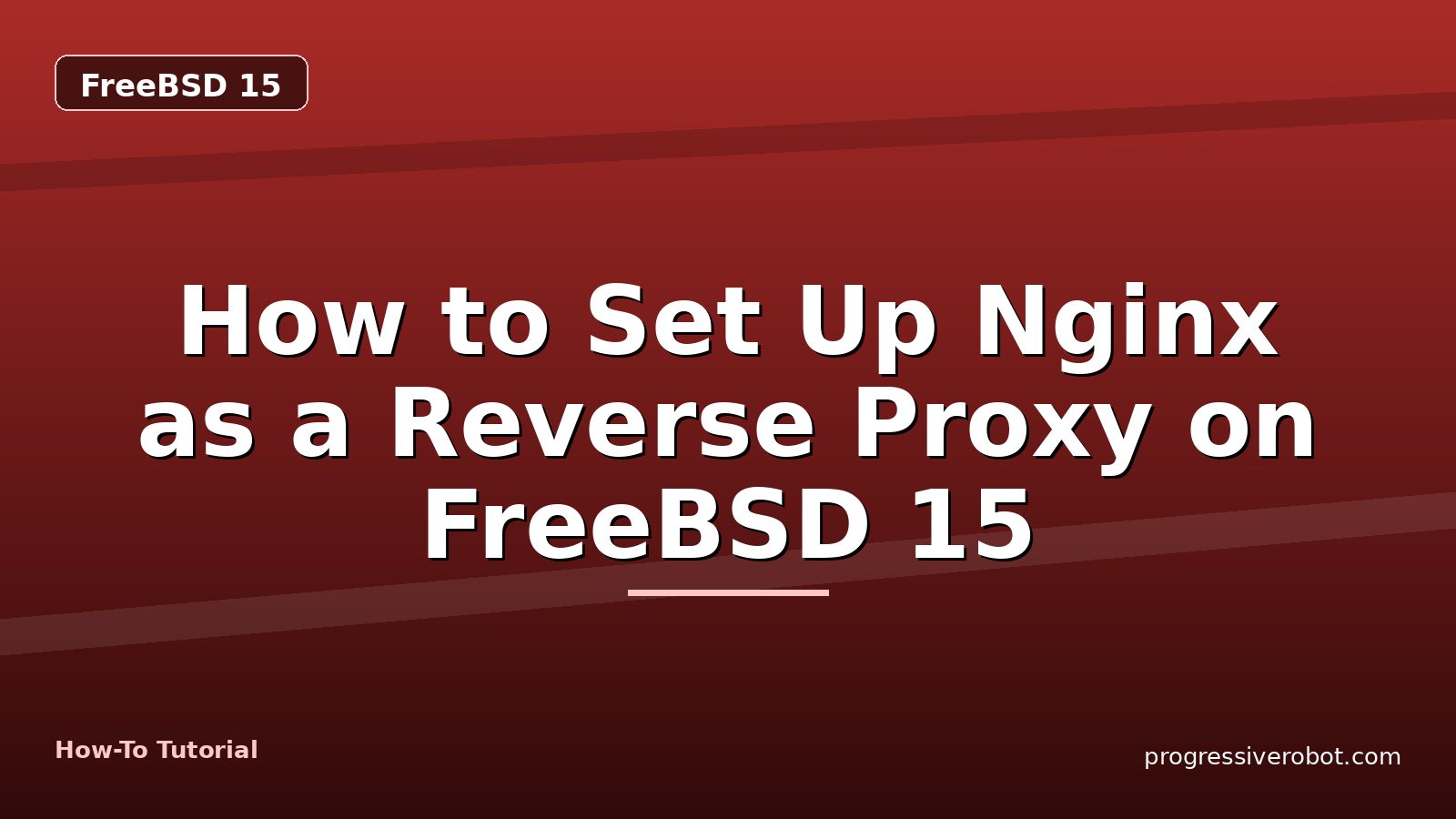 How to Set Up Nginx as a Reverse Proxy on FreeBSD 15 — step-by-step FreeBSD 15 tutorial on Progressive Robot
