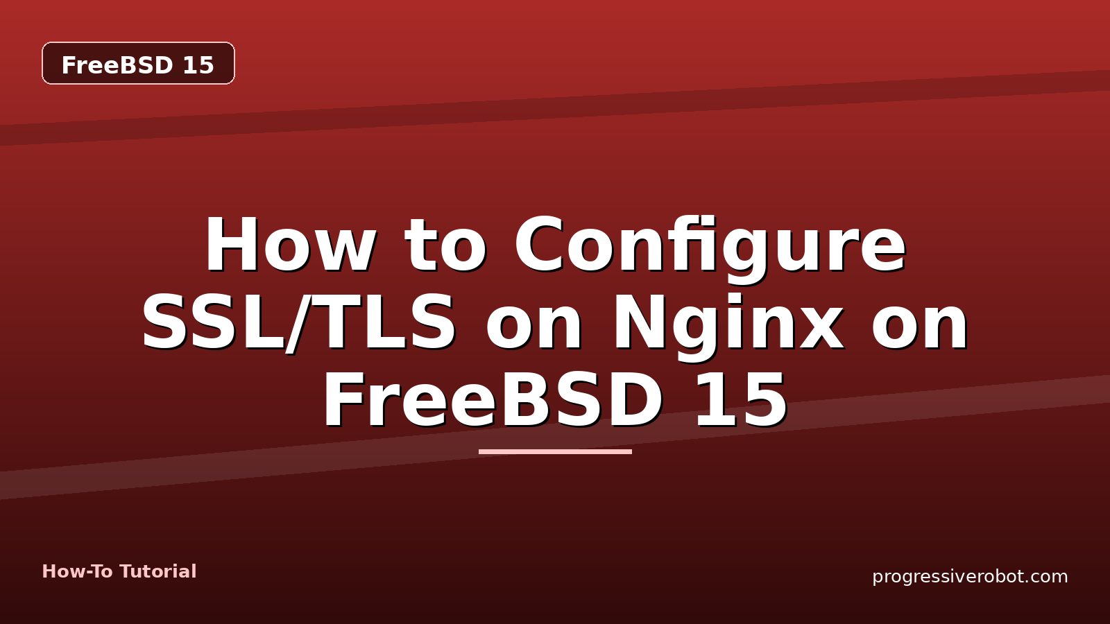 How to Configure SSL/TLS on Nginx on FreeBSD 15 — step-by-step FreeBSD 15 tutorial on Progressive Robot
