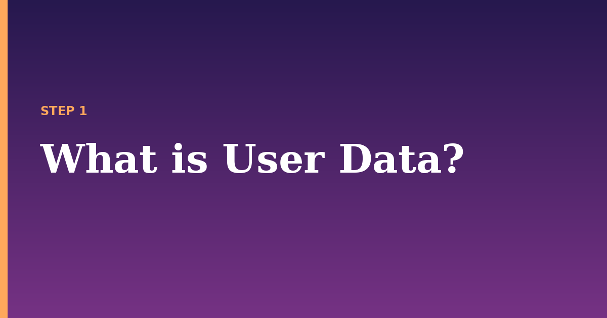 user illustration for: What is User Data?