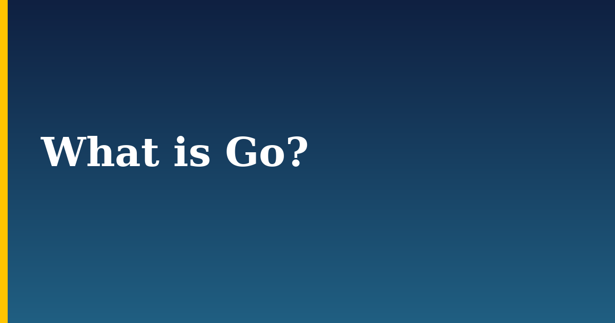 What is Go?