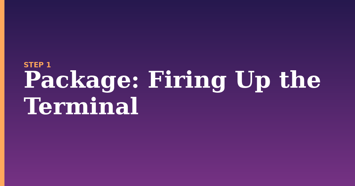 package illustration for: Firing Up the Terminal