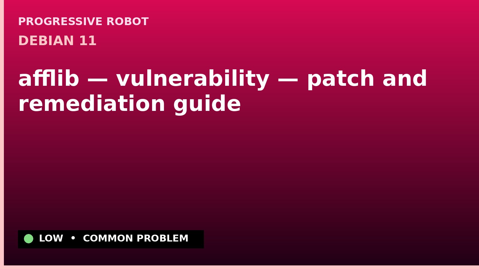 Debian 11 — afflib — vulnerability — patch and remediation guide