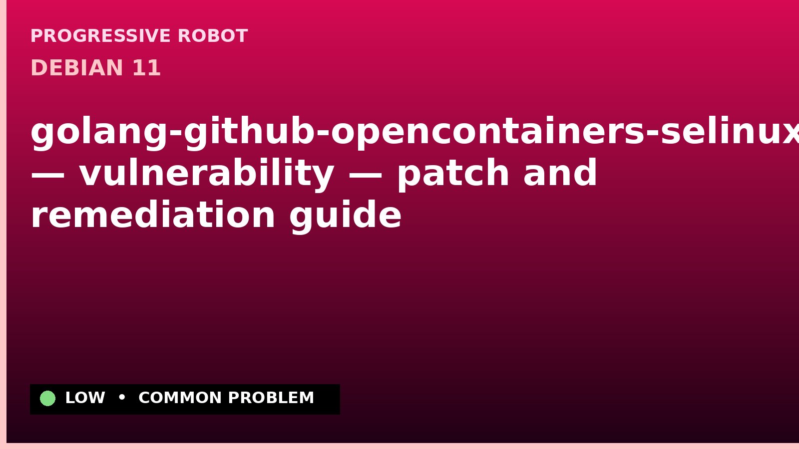 Debian 11 — golang-github-opencontainers-selinux — vulnerability — patch and remediation guide — diagnosis and fix on Debian 11