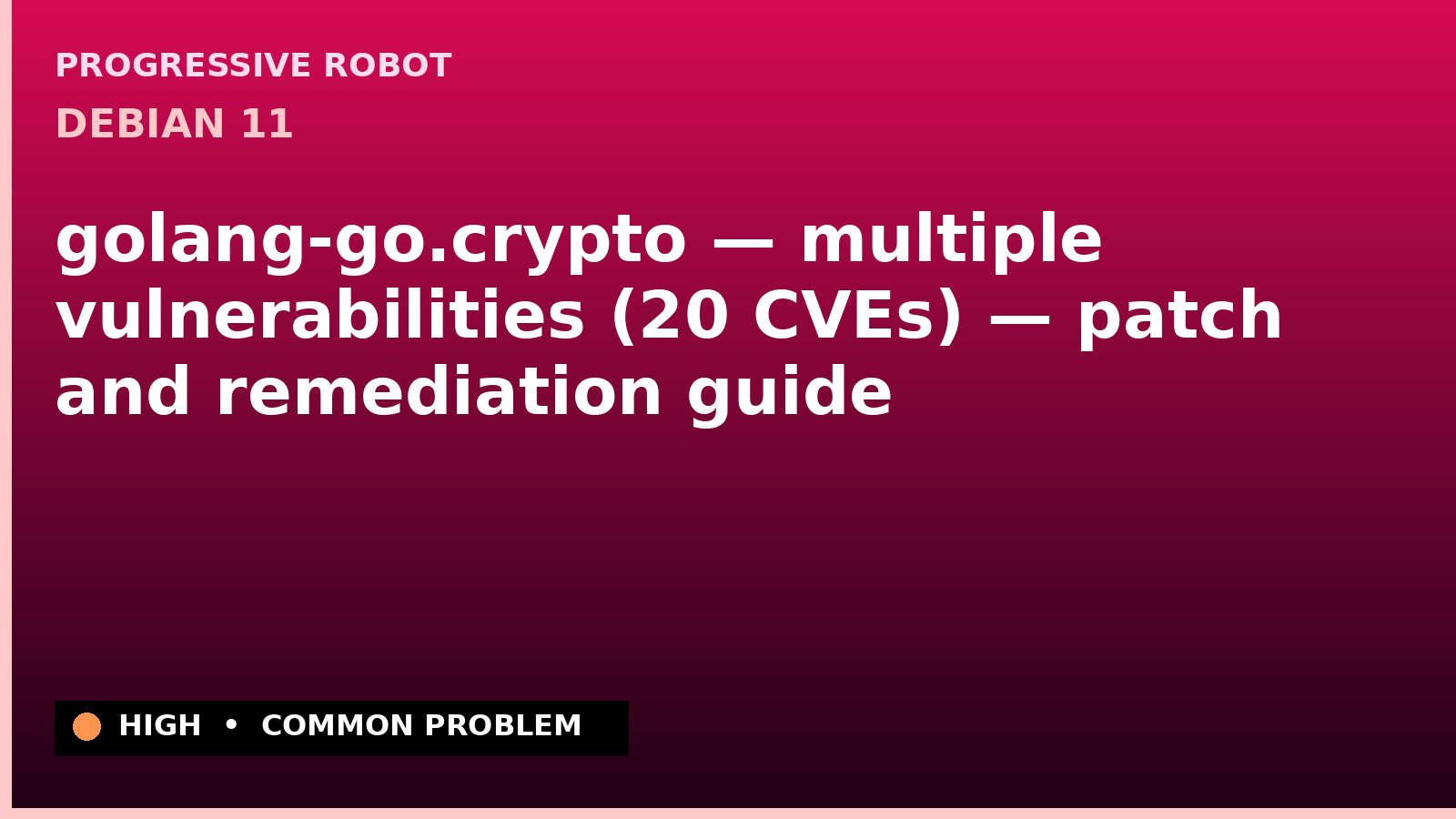 Debian 11 — golang-go.crypto — multiple vulnerabilities (20 CVEs) — patch and remediation guide