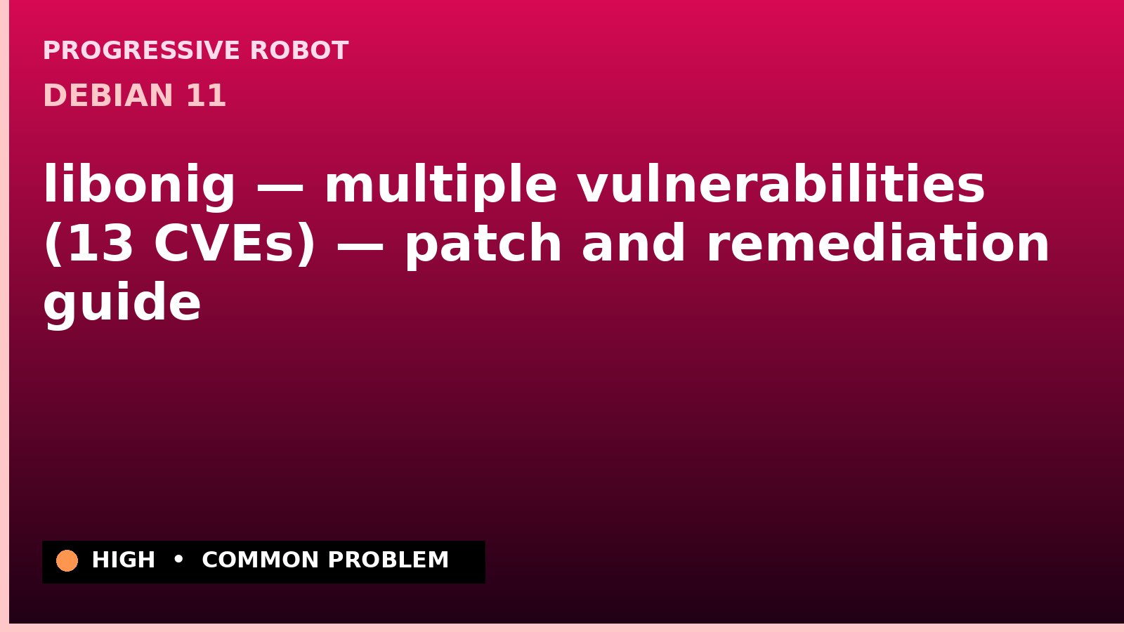 Debian 11 — libonig — multiple vulnerabilities (13 CVEs) — patch and remediation guide — diagnosis and fix on Debian 11
