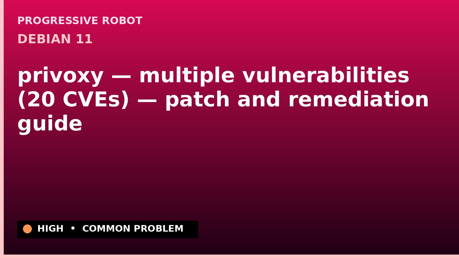 Debian 11 — privoxy — multiple vulnerabilities (20 CVEs) — patch and remediation guide — diagnosis and fix on Debian 11
