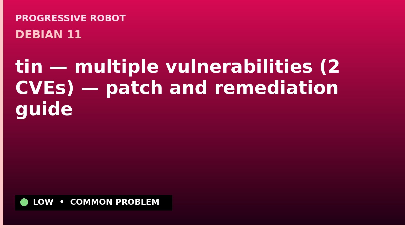 Debian 11 — tin — multiple vulnerabilities (2 CVEs) — patch and remediation guide — diagnosis and fix on Debian 11