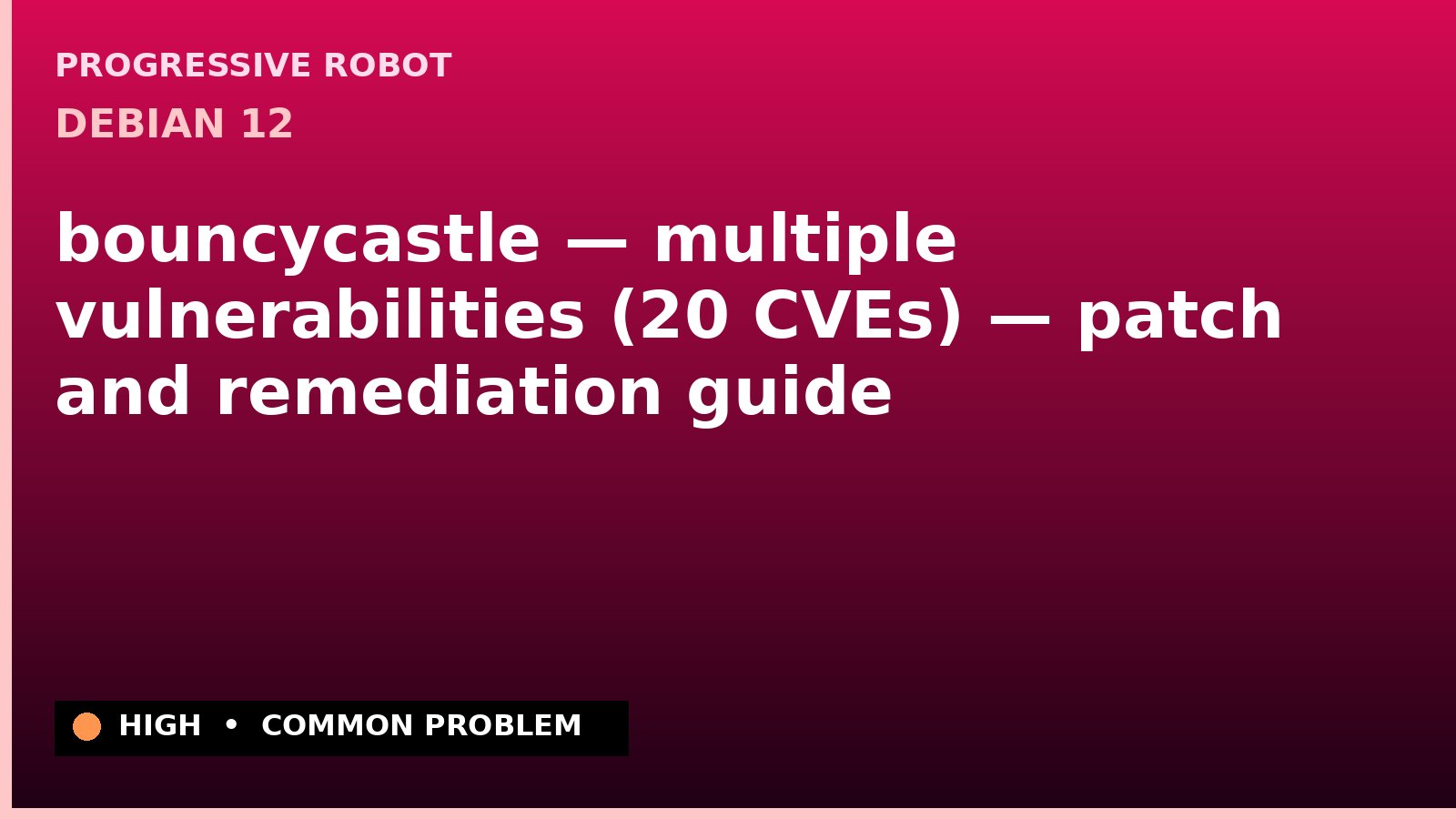 Debian 12 — bouncycastle — multiple vulnerabilities (20 CVEs) — patch and remediation guide — diagnosis and fix on Debian 12