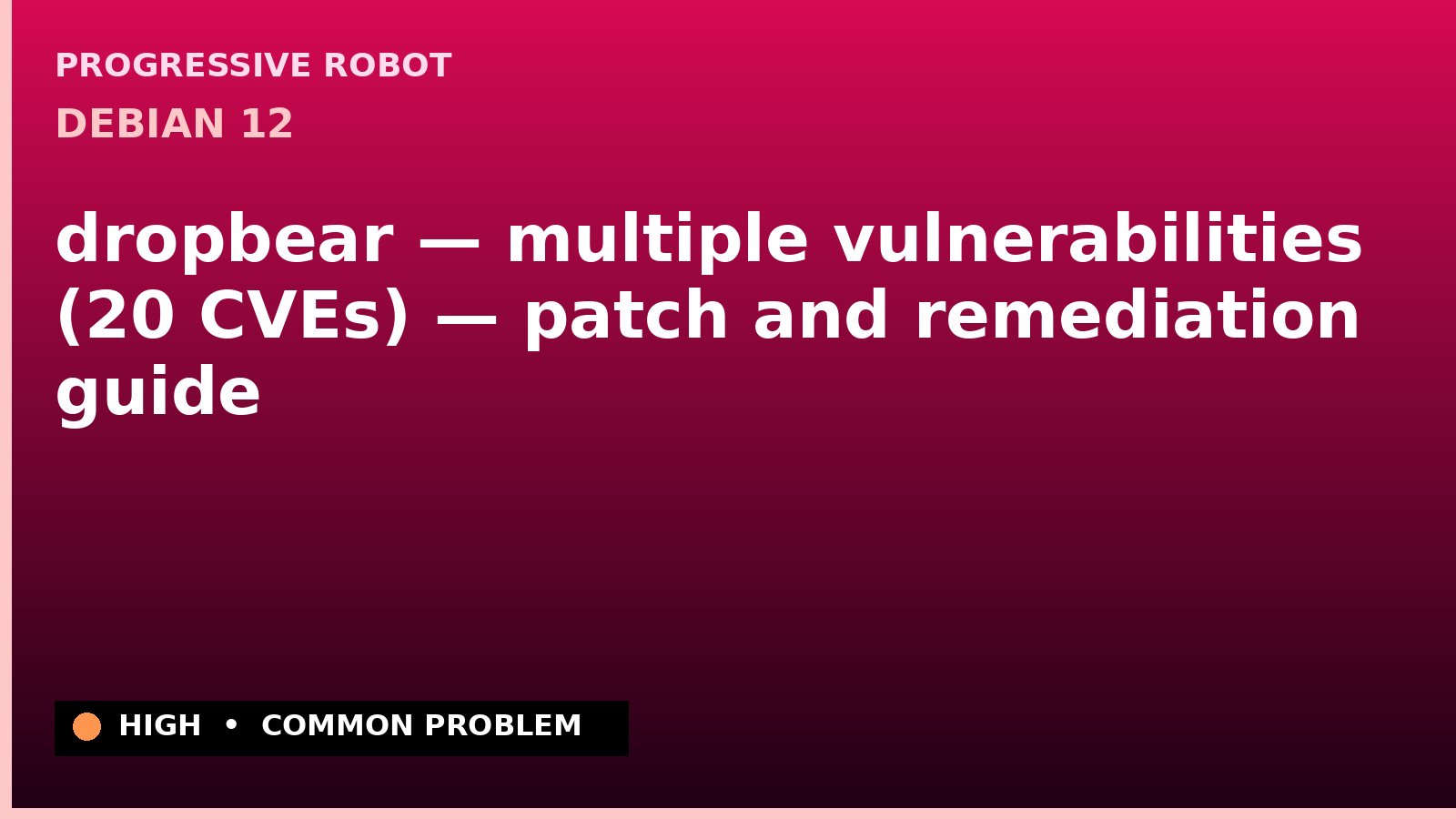 Debian 12 — dropbear — multiple vulnerabilities (20 CVEs) — patch and remediation guide — diagnosis and fix on Debian 12