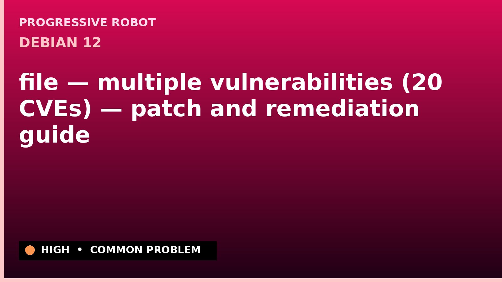 Debian 12 — file — multiple vulnerabilities (20 CVEs) — patch and remediation guide