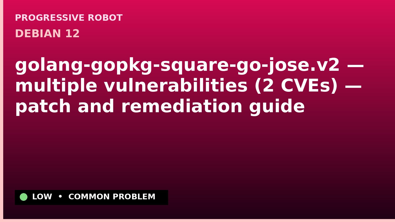 Debian 12 — golang-gopkg-square-go-jose.v2 — multiple vulnerabilities (2 CVEs) — patch and remediation guide — diagnosis and fix on Debian 12