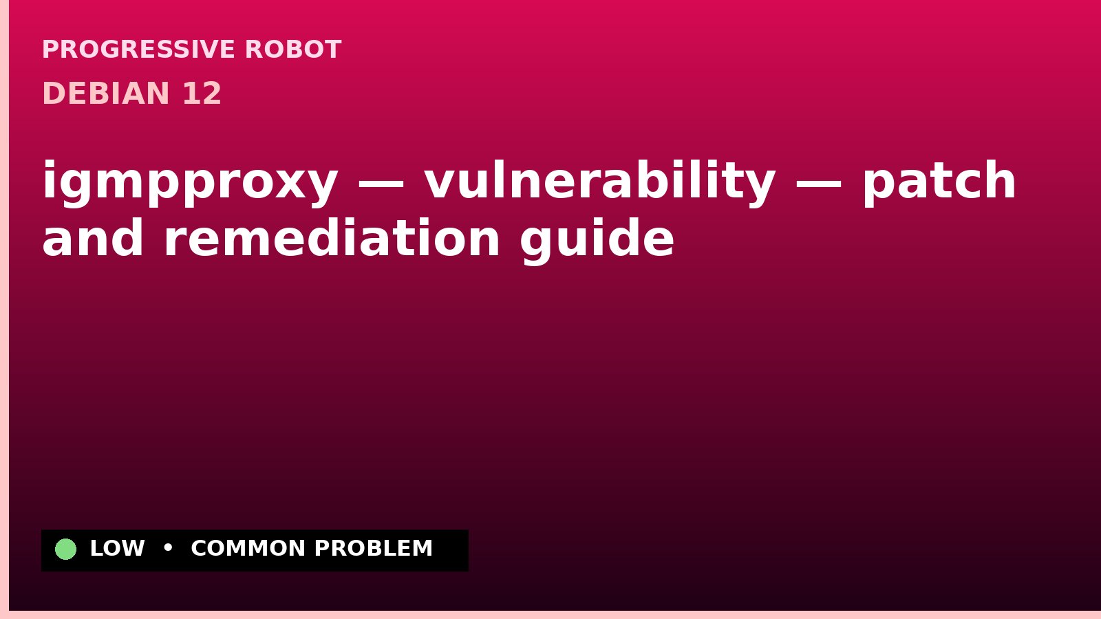 Debian 12 — igmpproxy — vulnerability — patch and remediation guide