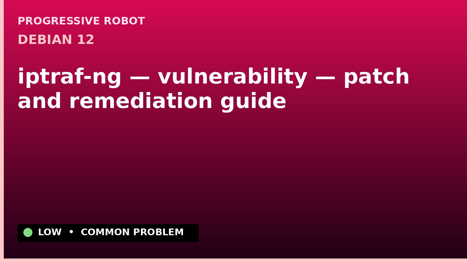 Debian 12 — iptraf-ng — vulnerability — patch and remediation guide