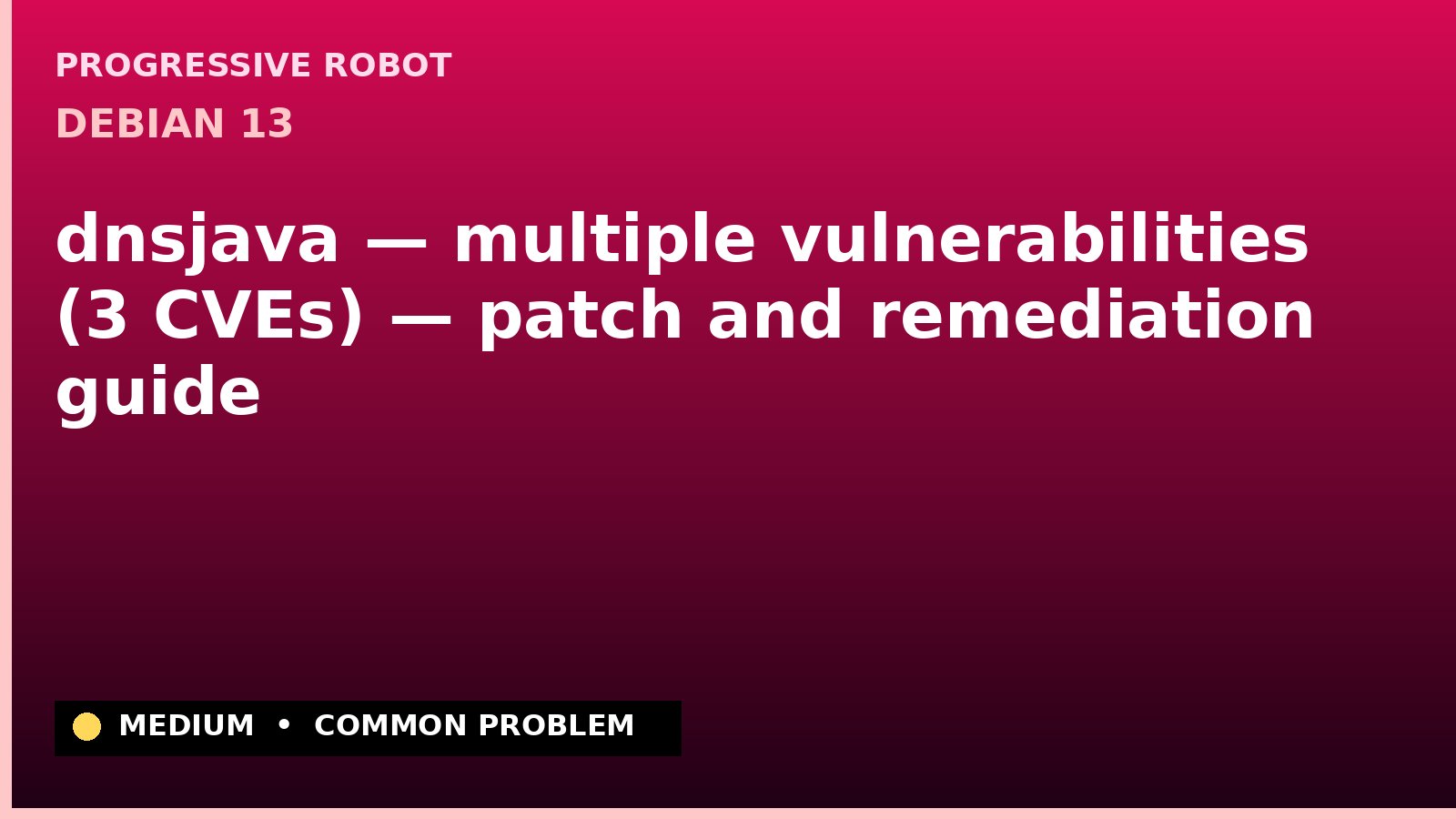 Debian 13 — dnsjava — multiple vulnerabilities (3 CVEs) — patch and remediation guide