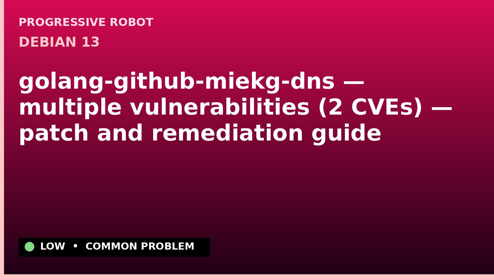 Debian 13 — golang-github-miekg-dns — multiple vulnerabilities (2 CVEs) — patch and remediation guide — diagnosis and fix on Debian 13