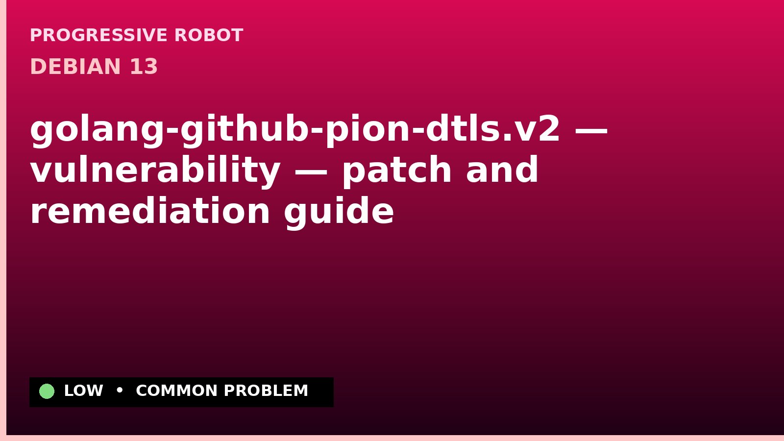 Debian 13 — golang-github-pion-dtls.v2 — vulnerability — patch and remediation guide — diagnosis and fix on Debian 13