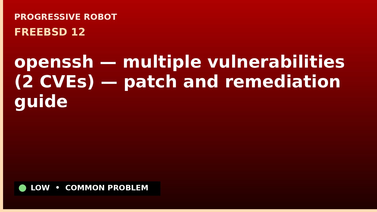 FreeBSD 12 — openssh — multiple vulnerabilities (2 CVEs) — patch and remediation guide — diagnosis and fix on FreeBSD 12