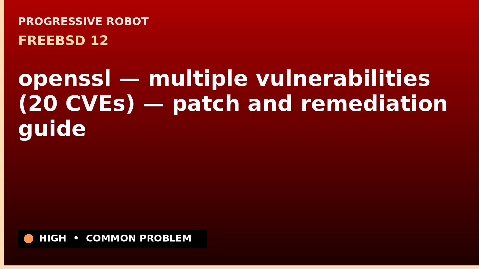 FreeBSD 12 — openssl — multiple vulnerabilities (20 CVEs) — patch and remediation guide — diagnosis and fix on FreeBSD 12