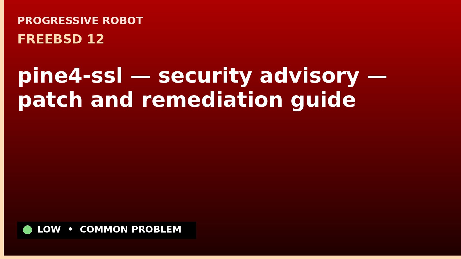 FreeBSD 12 — pine4-ssl — security advisory — patch and remediation guide — diagnosis and fix on FreeBSD 12