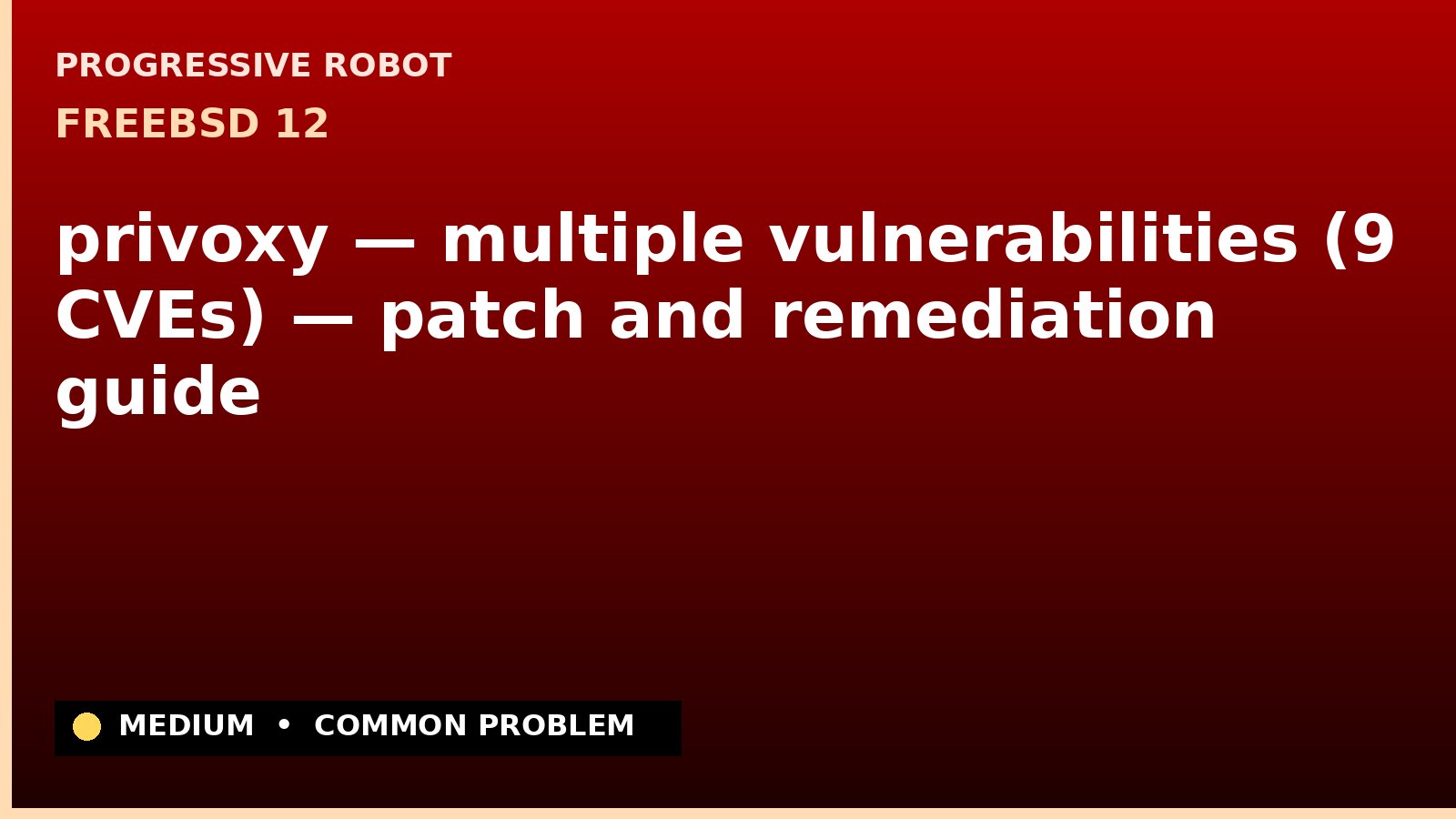 FreeBSD 12 — privoxy — multiple vulnerabilities (9 CVEs) — patch and remediation guide — diagnosis and fix on FreeBSD 12