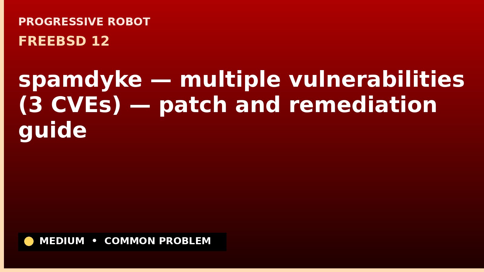 FreeBSD 12 — spamdyke — multiple vulnerabilities (3 CVEs) — patch and remediation guide