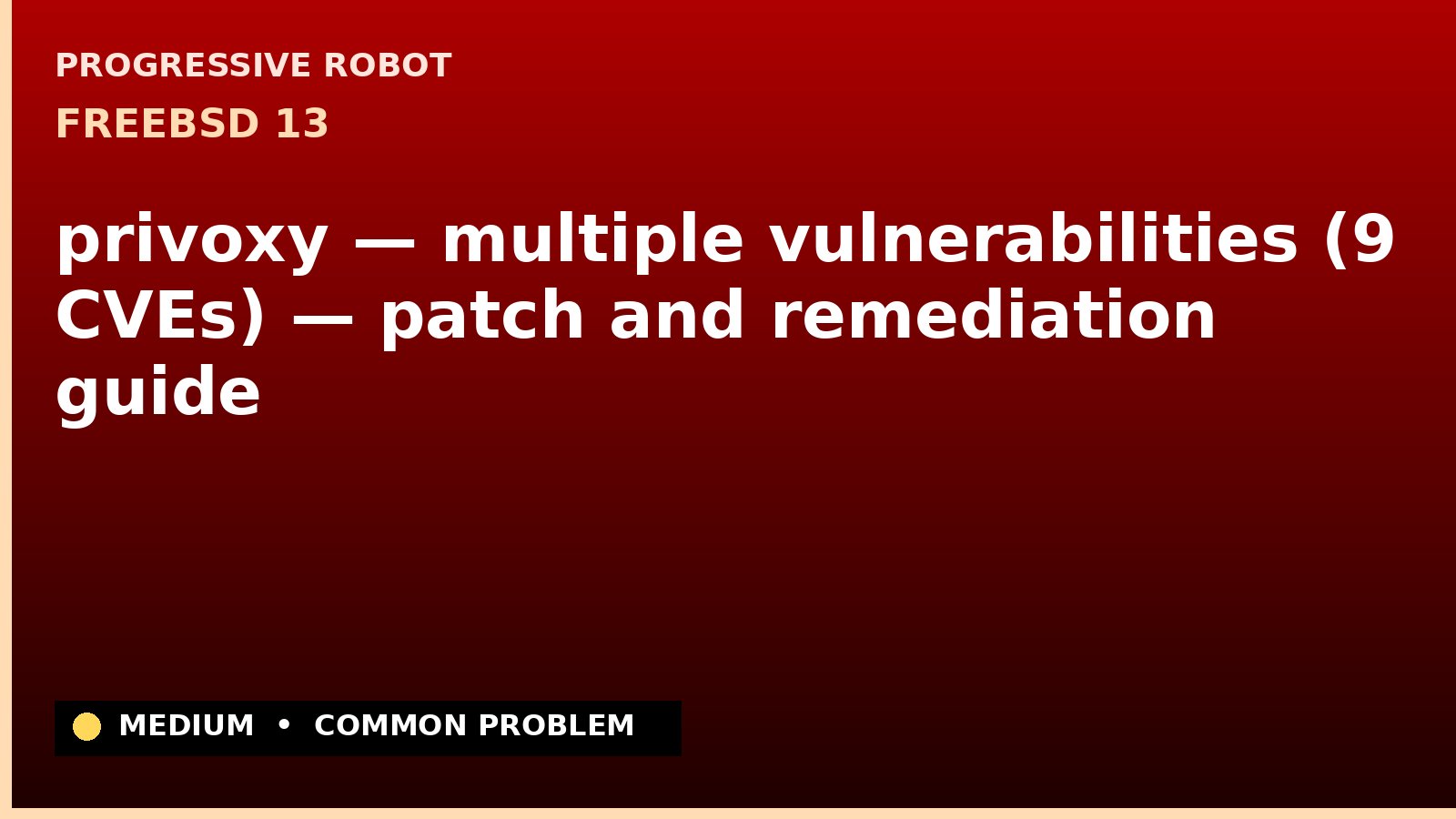 FreeBSD 13 — privoxy — multiple vulnerabilities (9 CVEs) — patch and remediation guide — diagnosis and fix on FreeBSD 13